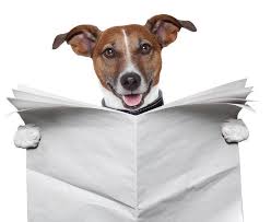 A RETIREMENT REFLECTION