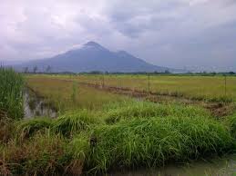 Dp mulai dari 60jt bisa siangsur 3x angsuran perbulan mulai dari 1.290.000 selama 5th. Jual Tanah Kavling Kredit Sidoarjo Tanah Kavling Porong Sidoarjo 081 215 941 111