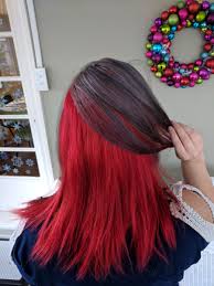 Ion color brilliance color chart. How To Dye Your Hair Two Toned Gray And Red Review Of Ion Color Brilliance Titanium And Manic Panic Wildfire Bellatory Fashion And Beauty