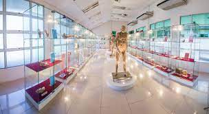 Fakulti kesihatan & sains sukan (health & sport science). Ums Museum And Gallery