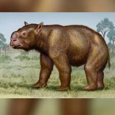 Image result for Cephalocroton