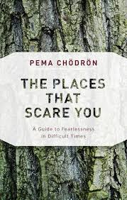 Amazon.com: The Places That Scare You: A Guide to Fearlessness in Difficult  Times (Deckled Edge): 9781611805963: Chödrön, Pema: Books
