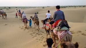 A camel in the tent book. Camel Trek In Jaisalmer India Breckenridge Salida Buena Vista Digital Marketing Seo