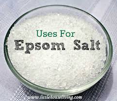 Epsom Salts In The Garden Transplant Fertilizer Good For Plants Epsom Salt Uses Epsom Salt Salt