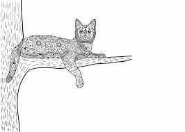 We would like to show you a description here but the site won't allow us. Kleurplaat Poes 81 Leukste Katten En Poezen Kleurplaten