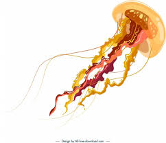 Maybe you would like to learn more about one of these? Vector Jellyfish For Free Download About 19 Vector Jellyfish Sort By Newest First
