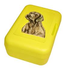 Image result for slovenský ohař hrubosrstý