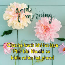 Flower good morning photo wallpaper hd download. 38 Good Morning Hd Flower Images For Free Photo Download For Whatsapp Pics Pagal Ladka Com