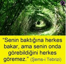 Nur Koc Adli Kullanicinin Sozzlerr Panosundaki Pin Ozlu Sozler Alinti Sozler Guzel Soz