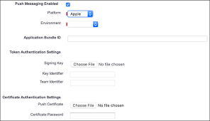On the new connected app page, fill the following required fields under basic information Create A Connected App For Apple Ios Salesforce Mobile Notifications Implementation Guide Salesforce Developers