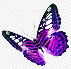 We did not find results for: Purple Butterfly Transparent Background Transparent Background Butterflies Clip Art Free Transparent Png Clipart Images Download