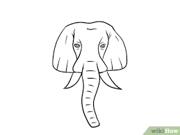 Ada dua spesies utama gajah. 4 Cara Untuk Menggambar Gajah Wikihow