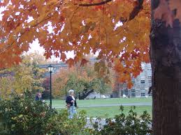 Check spelling or type a new query. The Arrival Of Striking Fall Color Scott Arboretum
