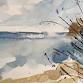 Watercolour Workshop for Beginners @ Fisherton event image