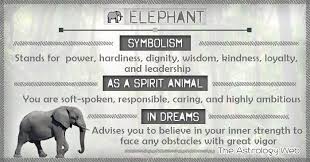 Spirit Animal Elephant Elephant Meaning Elephant Spirit Animal Elephant Symbolism