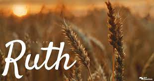 Ruth is one of the few women mentioned in the genealogy of jesus referenced in the book of matthew. Summary Of The Book Of Ruth Bible Survey Gotquestions Org