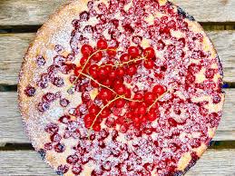 Und genauso selbstverständlich, dass sobald möglich ein rezept daraus ausprobiert wird :o) der. Johannisbeerkuchen Schnell Gebacken Ganz Normale Mama