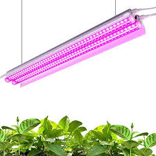 And yeah, light generated by this cob led grow light is very much stable and covers wider full spectrum with help of white light. Top 5 4ft Led Grow Light For Indoor Plants On 2021
