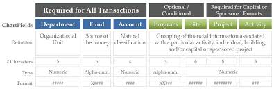 chart of accounts basics finance and treasury