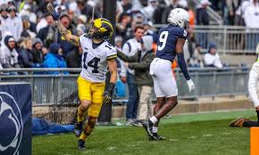 Tylenol and advil are both used for pain relief but is one more effective than the other or has less of a risk of si. What You May Not Have Known Michigan Football Win Over Penn State