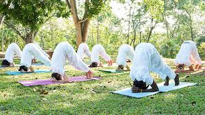 Browse our library of illustrated workouts for women and men, weight loss, home and gym, yoga, strength, flexibility and more. Sirsasana Headstand Preparation Yogasanas Download Royalty Free Images On Yoga And Yogasanas