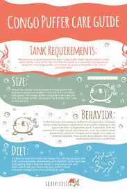 Spotted congo puffer tank size. Congo Puffer Tetraodon Miurus A Complete Care Sheet