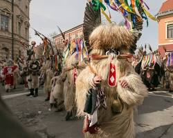Image of Hungarian Kurent**