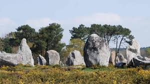 Erome neroko kaigan a little difficult with communicating