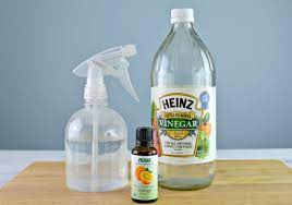 Diy Dog Deterrent Spray Helps Stop Indoor Accidents And Chewing Mom 4 Real