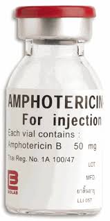 Image result for Amphotericin B