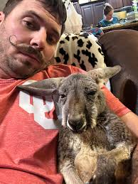 Looking for mini donkeys!!!