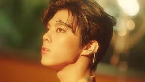 He then joined mnet's produce x 101 (2019), finished in 2nd place, and was part of x1. Kim Woo Seok Of X1 To Release Solo Album On May 25 Video