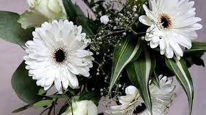 I fiori bianchi sono simbolo di innocenza, esprimono un apprezzamento sincero, apertura mentale e proiezione verso la vita. Fiori Bianchi I 10 Piu Eleganti Per Abbellire Casa E Giardino
