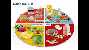 Diet Diagrams Youtube