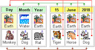 Chinese Zodiac 2020 Dog Prediction Year Of White Metal Rat Forecast