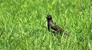 Сьогодні не бажано займатися важкою фізичною працею, ліпше більше відпочити. Narodne Svyato 16 Serpnya 2021 Zvichayi Prikmeti Sho Ne Mozhna Robiti Unian