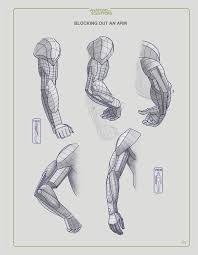 Store Softcover Ebook Pdf Download Anatomy Drawing Anatomy Sketches Arm Anatomy
