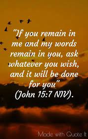 Follow me on twitter or connect on facebook to receive these daily affirmations and be free in christ! Daily Bible Quotes Text Message 20 Bible Verses To Find Hope In Dark Times Dogtrainingobedienceschool Com