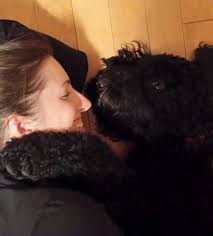 Today we helped Roxie cross the rainbow bridge. Our hearts are broken. She  was the best dog we could've hoped for. We have 9 and a half years of  beautiful memories and