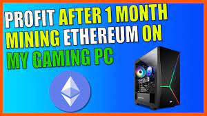 The development goes ahead very fast and it. Profit After 1 Month Mining Ethereum Eth On My Gaming Pc Crypto Mining Youtube