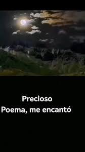 Serene Nightscapes: Beauty of Nature Under Moonlight