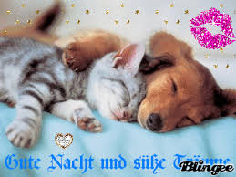 Check spelling or type a new query. Gute Nacht Und Susse Traume Gute Nacht Susse Gute Nacht Bilder Gute Nacht Bilder Hunde