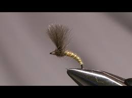The Ldo Large Dark Olive Emerger The Ldo Emerger Is Tied To Imitate The Emerging Stage Of Our Large Dark Olive Baetis R Fly Tying Fly Tying Patterns Tie