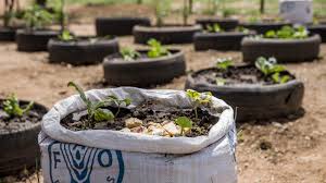Un food agency working for a secure future of food for all. Fao Ø§Ù„Ø£Ù…Ù… Ø§Ù„Ù…ØªØ­Ø¯Ø©