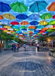 Find zapopan restaurants in the guadalajara area and other. Local Guides Connect Re Zapopan Jalisco Local Guides Connect