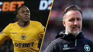 Sara estanislau x videos myself have superior options for