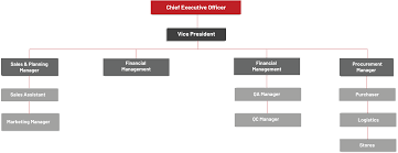 Organizational Chart Europoxy