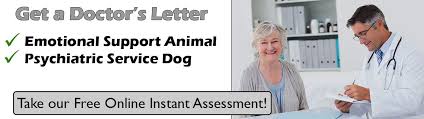 Date name of professional (therapist, physician, psychiatrist, rehabilitation counselor) address to whom it may concern: Psychiatric Service Dogs How To Qualify Dr S Letters