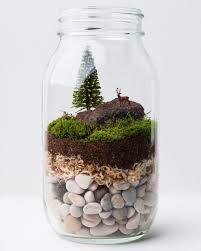1001 Modeles De Terrarium Plante En Bocal Ferme Ou Ouvert Mini Jardins Terrarium Pour Plantes Grasses Faire Un Terrarium