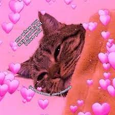 Good Night I Love You Meme Memes To Send